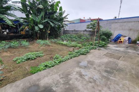 CẦN BÁN 2 LÔ ĐẤT  LIỀU TRUNG, HỒNG THÁI AN DƯƠNG HẢI PHÒNG