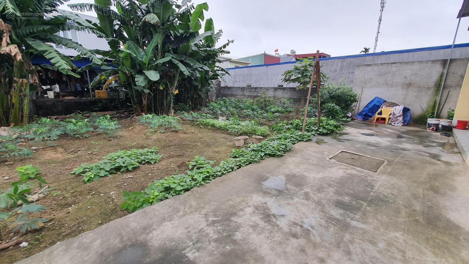 CẦN BÁN 2 LÔ ĐẤT  LIỀU TRUNG, HỒNG THÁI AN DƯƠNG HẢI PHÒNG