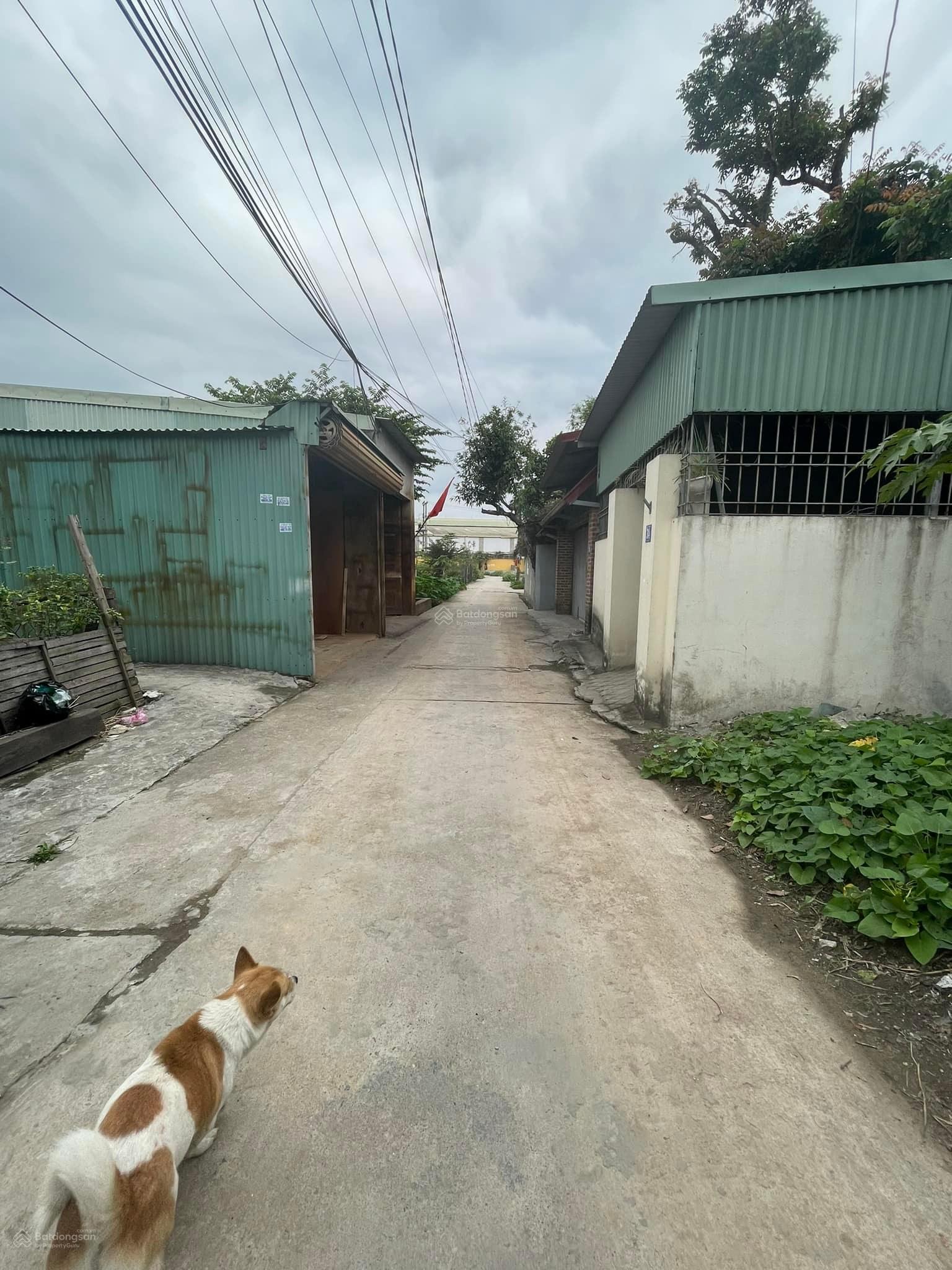 BÁN ĐẤT TẠI QUỲNH CƯ, HÙNG VƯƠNG