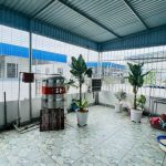 Ảnh 1 của BÁN NHÀ 3 TẦNG  TẠI KIỀU TRUNG,HỒNG THÁI, AN DƯƠNG