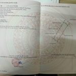 Ảnh 2 của BÁN 2 LÔ LIỀN KỀ TẠI AN HƯNG