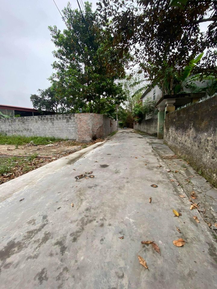 BÁN 2 LÔ KIỀN KỀ TẠI HỖ ĐÔNG - HỒNG PHONG