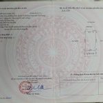 Ảnh 4 của BÁN LÔ ĐẤT TUYẾN 2 ĐƯỜNG TRỤC XÃ HỒNG THÁI