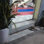 Ảnh 1 của CHỈ TẦM 600 TRIỆU CÓ NGAY NHÀ 2 TẦNG SẠCH ĐẸP TẠI LÃM HÀ KIẾN AN