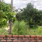 Ảnh 3 của BÁN LÔ ĐẤT TẠI KIỀU TRUNG - HỒNG THÁI