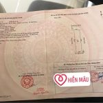 Ảnh 3 của 100M TẠI VĨNH KHÊ - AN ĐỒNG