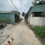 Ảnh 3 của BÁN ĐẤT TẠI QUỲNH CƯ, HÙNG VƯƠNG, HỒNG BÀNG