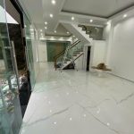 Ảnh 4 của BÁN NHÀ BIỆT THỰ TẠI HIM LAM, HÙNG VƯƠNG