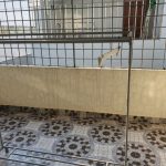 Ảnh 6 của BÁN NHÀ 4 TẦNG KHU TĐC ĐẰNG  LÂM - NGÔ GIA TỰ