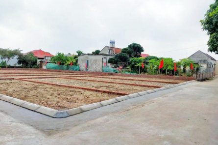 BÁN ĐẤT ĐẸP FULL THỔ CƯ TẠI HÒA NGHĨA, DƯƠNG KINH