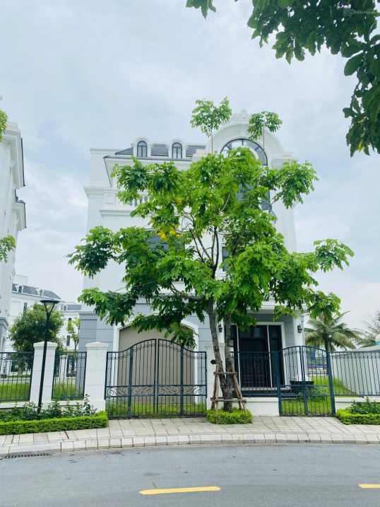 BÁN BIỆT THỰ ĐƠN LẬP MONACO THƯỢNG LÝ, HỒNG BÀNG