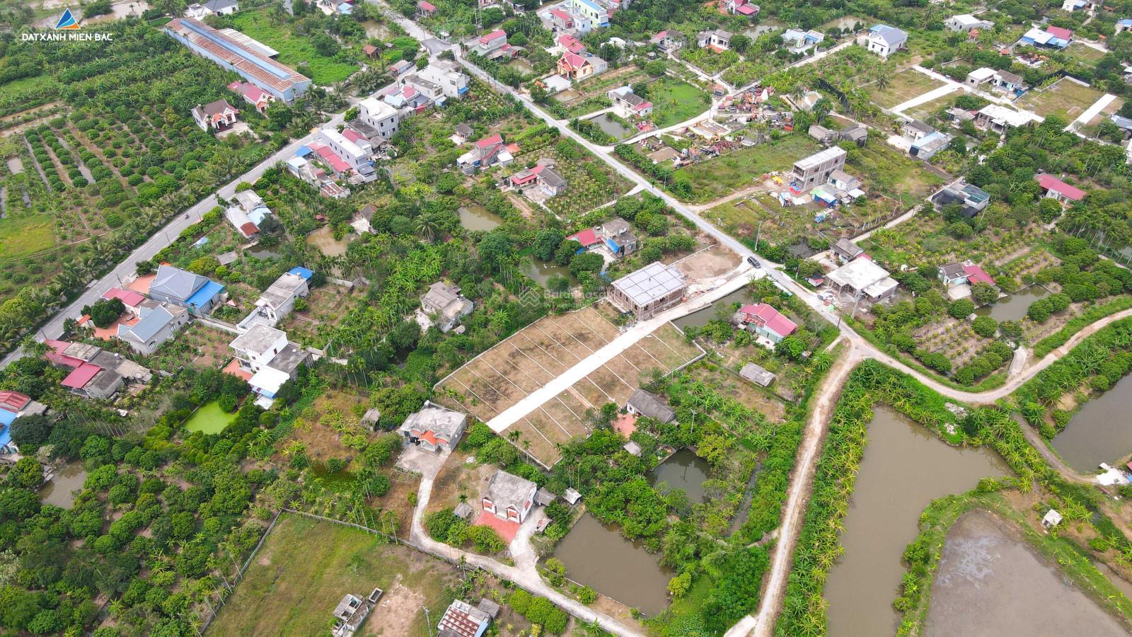Hàng trăm dự án được tháo gỡ, hé lộ thời điểm bất động sản phục hồi