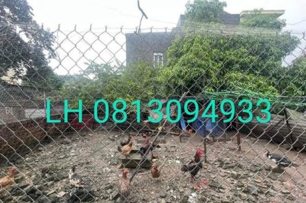 BÁN LÔ NGANG 6 VUÔNG NHƯ BÁNH TRƯNG TẠI VÂN TRA - AN ĐỒNG