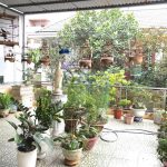 Ảnh 6 của BÁN NHÀ 3 TẦNG 90M2 ĐỘC LẬP TẠI AN TRANG - AN ĐỒNG