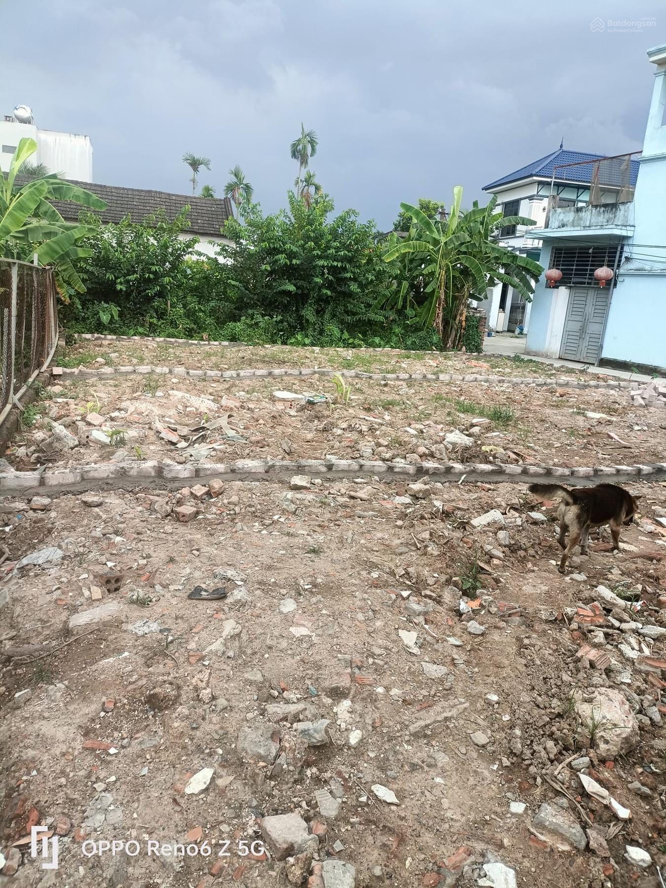 BÁN ĐẤT HOA ĐỘNG  CÁCH ĐƯỜNG TRỤC 203