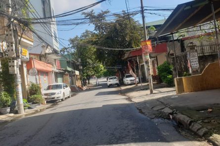 BÁN BIỆT THỰ MINI TẠI PHỐ CÁT DÀI, LÊ CHÂN