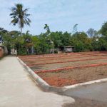 Ảnh 1 của BÁN 2 LÔ ĐẤT LIỀN KỀ Ở GẦN CHỢ CHIỀU MỸ ĐỨC, AN LÃO