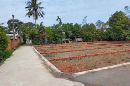 BÁN 2 LÔ ĐẤT LIỀN KỀ Ở GẦN CHỢ CHIỀU MỸ ĐỨC, AN LÃO