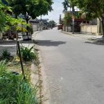Ảnh 1 của BÁN ĐẤT TẠI – KHU 6 – THỊ TRẤN TIÊN LÃNG – TIÊN LÃNG