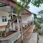 Ảnh 5 của BÁN CĂN NHÀ NGOẠI Ô NGAY KHU VỰC TRUNG TÂM THỊ TRẤN TIÊN LÃNG