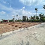 Ảnh 6 của MỞ BÁN LÔ ĐẤT TẠI TÂN NAM, MỸ ĐỨC, AN LÃO