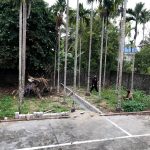 Ảnh 5 của BÁN LÔ ĐẤT VUÔNG VẮN, BÌA HỒNG CHÍNH CHỦ