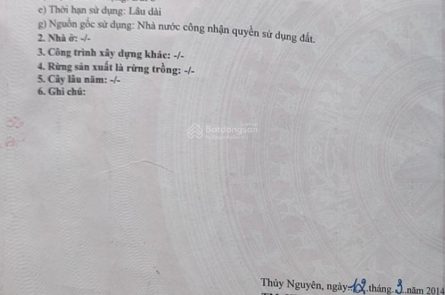 BÁN ĐẤT MẶT ĐƯỜNG TRỤC THÔNG, TRẢI NHỰA CẮT LỖ, GIA MINH, THỦY NGUYÊN