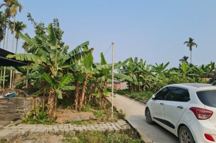 CHỈ HƠN 900TR SỞ HỮU NGAY LÔ ĐẤT 94,5M2 ĐƯỜNG Ô TÔ TẠI HOA ĐỘNG , THUỶ NGUYÊN