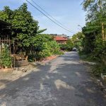 Ảnh 1 của LÔ 91M2 TẠI ĐẦM PHƯỜNG VĨNH KHÊ - AN ĐỒNG