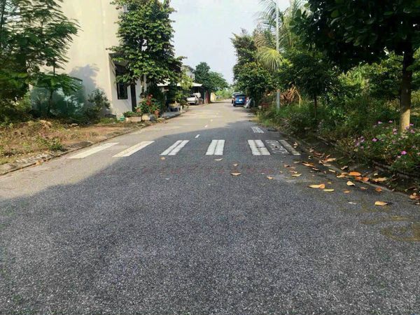 LÔ 54M2 TĐC HOÀNG MAI - HỒNG THÁI