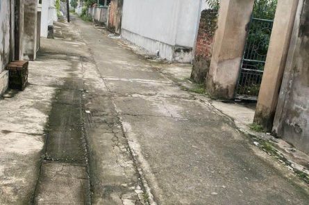 BÁN LÔ ĐẤT TẠI TÂN TRÀO, KIẾN THỤY, HẢI PHÒNG