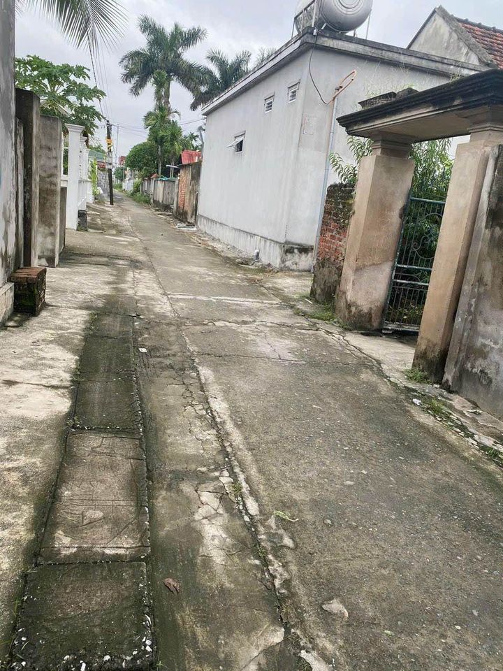 BÁN LÔ ĐẤT TẠI TÂN TRÀO, KIẾN THỤY, HẢI PHÒNG
