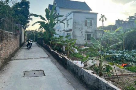 BÁN LÔ BẮT ĐÁY TẠI KIỀU HẠ - QUỐC TUẤN