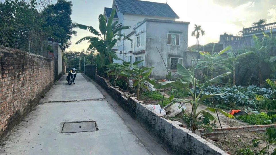 BÁN LÔ BẮT ĐÁY TẠI KIỀU HẠ - QUỐC TUẤN
