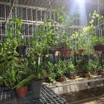 Ảnh 8 của BÁN NHÀ 91M2 , 4 TẦNG VĨNH KHÊ,AN DƯƠNG NGAY CẠNH HOÀNG HUY GIÁ 3 TỶ