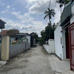 Ảnh 3 của BÁN NHÀ VƯỜN GẦN 1000M2 TẠI BẮC SƠN, AN DƯƠNG