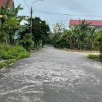 Ảnh 1 của CÒN DUY NHẤT MỘT LÔ ĐANG CẮT LỖ KỊCH SÀN