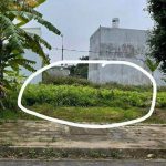Ảnh 4 của CÒN DUY NHẤT MỘT LÔ ĐANG CẮT LỖ KỊCH SÀN