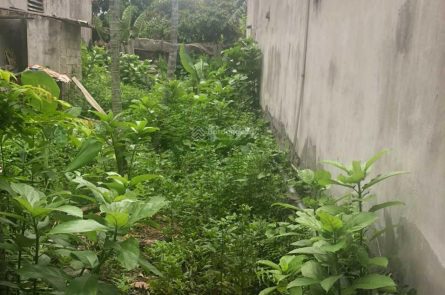 BÁN ĐẤT 80M2 VUÔNG VẮN TẠI XÃ CHIẾN THẮNG, AN LÃO, HẢI PHÒNG