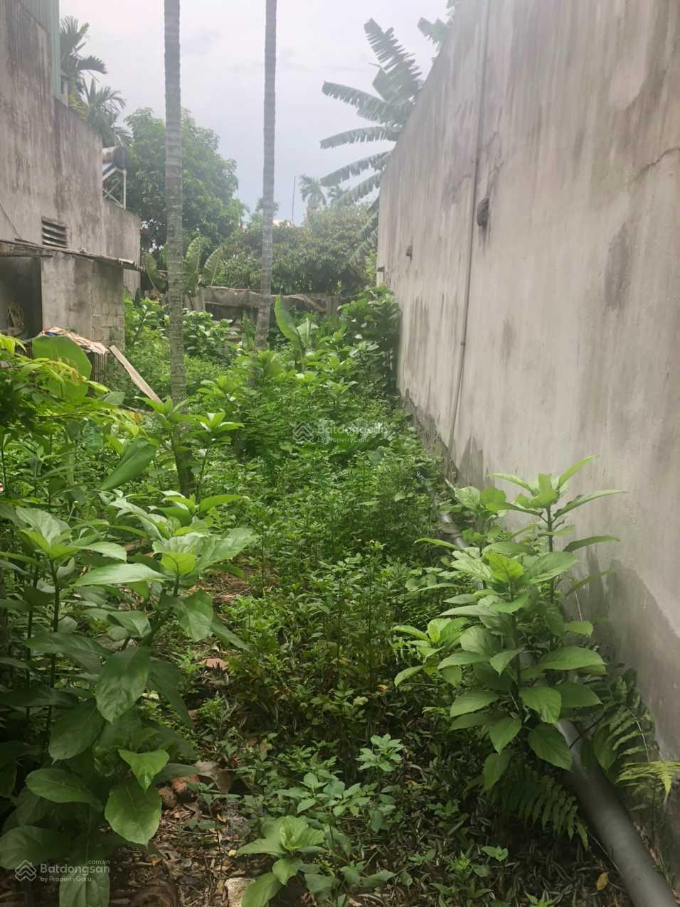 BÁN ĐẤT 80M2 VUÔNG VẮN TẠI XÃ CHIẾN THẮNG, AN LÃO, HẢI PHÒNG