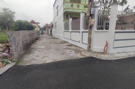ĐẤT ĐẸP GIÁ RẺ THÔN CAO BỘ, ĐẠI HÀ, KIẾN THUỴ, HẢI PHÒNG.