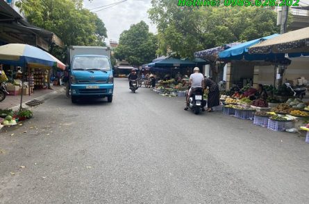 ĐẤT TRUNG TÂM THỊ TRẤN NÚI ĐỐI, KIẾN THỤY.