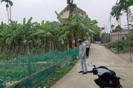 BÁN LÔ ĐẤT VUÔNG VẮN TẠI XÃ HOA ĐỘNG