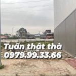 Ảnh 1 của CHUYỂN NHƯỢNG LÔ TĐC CÂY ĐA 13 GỐC