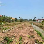 Ảnh 2 của BÁN LÔ ĐẤT TẠI THÔN THỦY HƯNG - ĐÔNG HƯNG - TIÊN LÃNG - HP