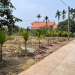 Ảnh 3 của BÁN LÔ ĐẤT TẠI THÔN THỦY HƯNG - ĐÔNG HƯNG - TIÊN LÃNG - HP