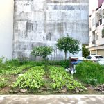 Ảnh 2 của Đất lô góc đường ô tô tránh nhau đường Dầu Lửa, Hồng Bàng chỉ 1,84 tỷ.