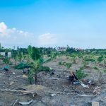 Ảnh 2 của Bán mảnh đất 03 giá rẻ tại xã Hợp Thành, Thủy Nguyên, Hải Phòng