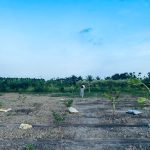 Ảnh 1 của Bán mảnh đất 03 giá rẻ tại xã Hợp Thành, Thủy Nguyên, Hải Phòng