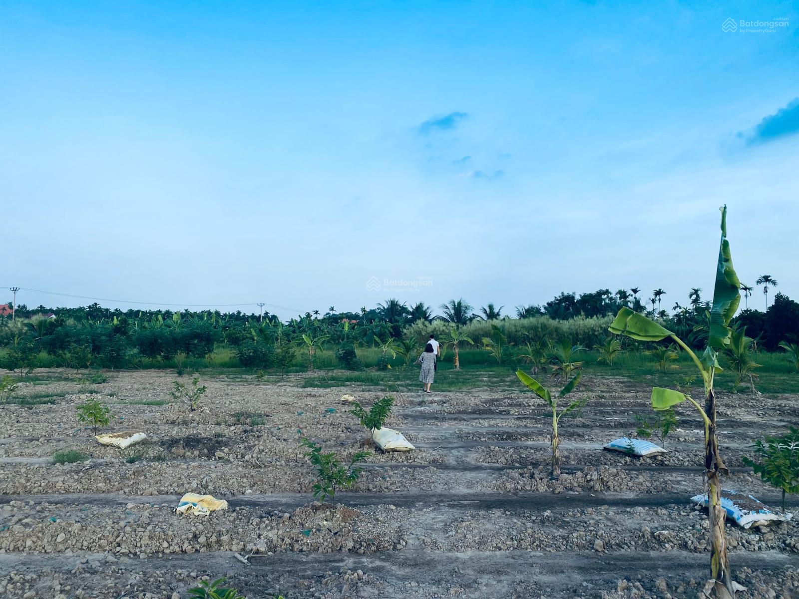 Bán mảnh đất 03 giá rẻ tại xã Hợp Thành, Thủy Nguyên, Hải Phòng